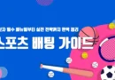 스포츠 배팅 가이드